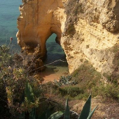 荣耀加冕!吉方工控斩获2026中国...