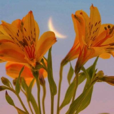 乐鱼体育官方网站登录截图4