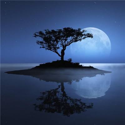 四大证券报头版头条内容精华摘要_2026年3月24日_财经新闻