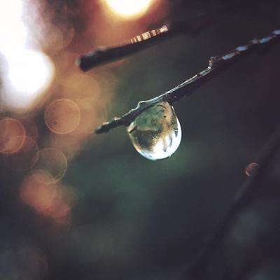 深夜!黄金、白银拉升,油价直线跳水!