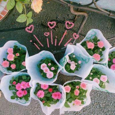 美方向伊朗提出和谈方案,国际油价震荡,黄金、白银上涨