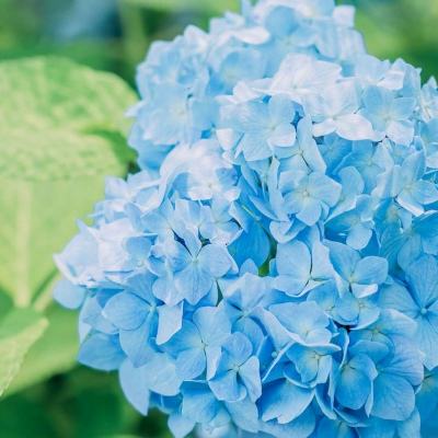 工业AI走向现场,制造业转型正释...