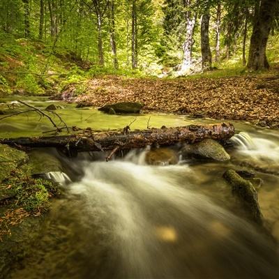 信达证券研究所所长被女下属实名举报猥亵,女方:已在公安局完成详细笔录,公司:正在核实,暂无停职通知