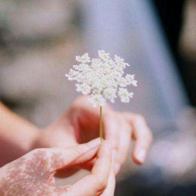 重装上阵无限金币版