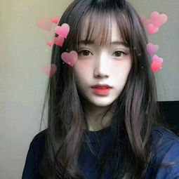 太阳城在线游戏入口