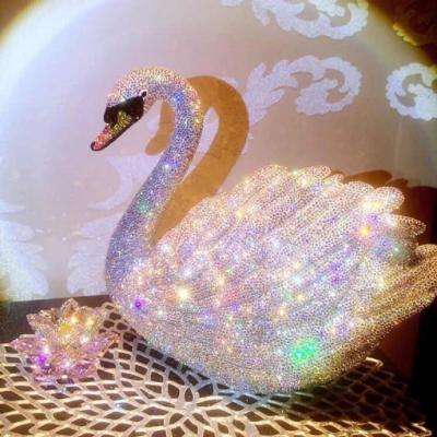 乐鱼体育手机app截图