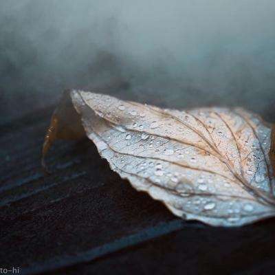 万达研究:美股周三反弹,散户明显缺席