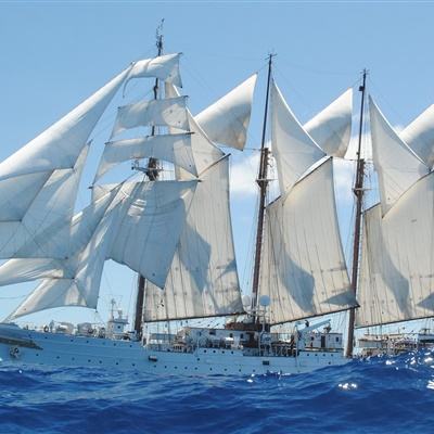 又是百股破净!历史数据显示,市场底已越来越近