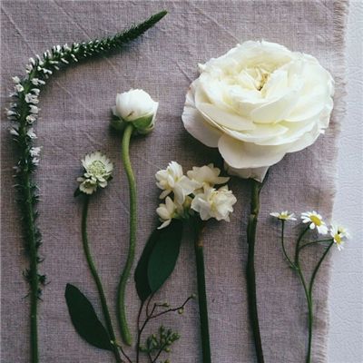 日本2月服务业通胀率升至2.7%四赴雄安 对“未来之城”再部署