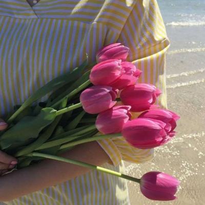 亚马逊丛林生存逃脱