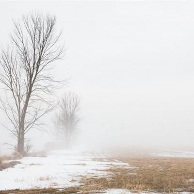 考研名师张雪峰公司发布讣告:张雪峰因心源性猝死去世