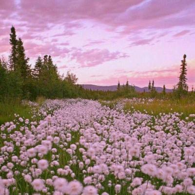 金博体育电竞官网/手机APP下载