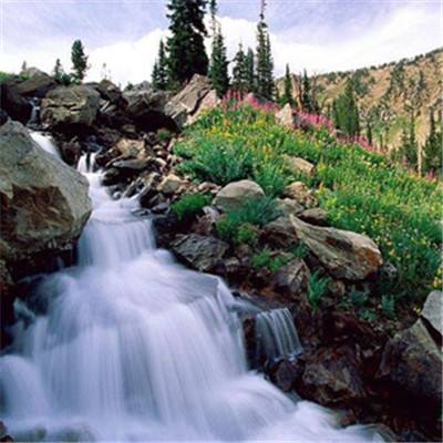 天马体育APP(官方)综合娱乐APP下载