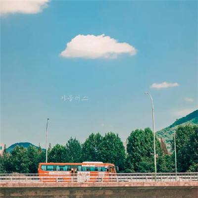 特朗普称伊朗冲突对石油和股市的影响未达其预期