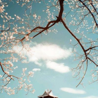 科创新能源ETF富国(588960)涨0.84%,成交额2063.40万元