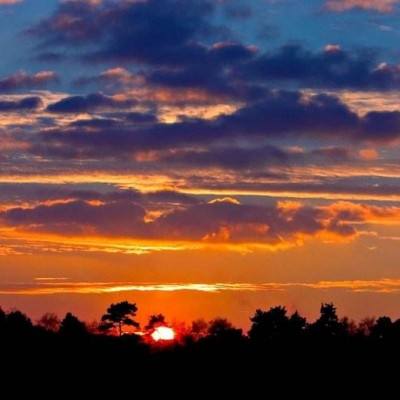 乐鱼体育最新官网入口