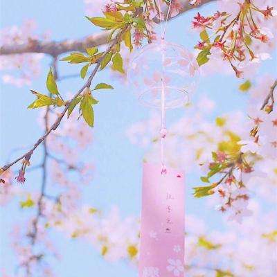 奥运女子组赛事仅限生理女性参加