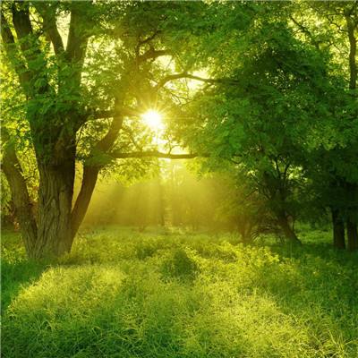 立讯精密股价涨5.09%,诺德基金旗下2只基金重仓,合计持有20.09万股浮盈赚取47.42万元