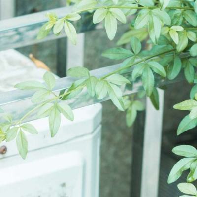 bet99贵宾会体育娱乐APP/手机APP下载