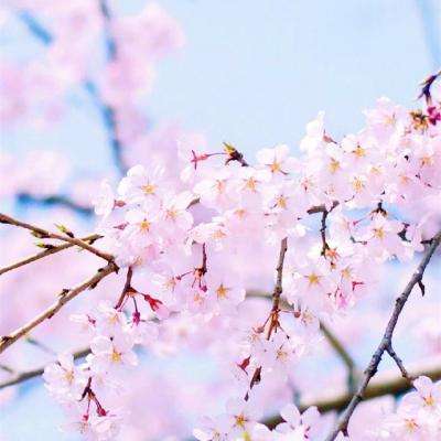 超140万亿!Token调用量激增意味啥