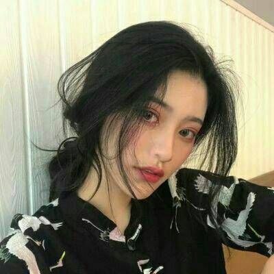 解码宇树科技股东阵容:谁是大赢家?谁又在IPO“临门一脚”前遗憾错失?