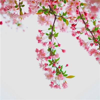 一年烧掉23个亿,地平线寻求错位突围