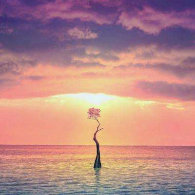 恒指港股通ETF建信(520770)涨0.85%,成交额2369.12万元