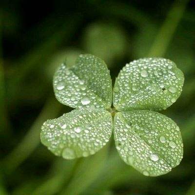 智能经济新形态下,什么是智能体的“硬件底座”