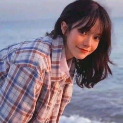 08vip在线体育全新版