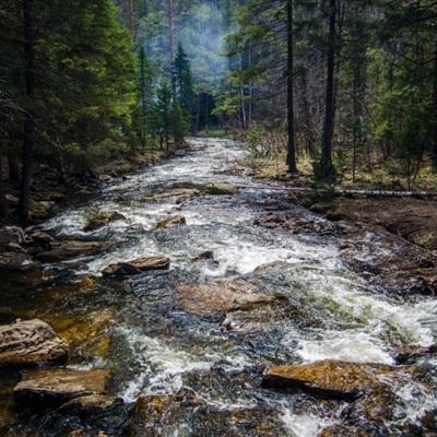 疑涉非法集资案 知名经济学家巴曙松被办案机关带走