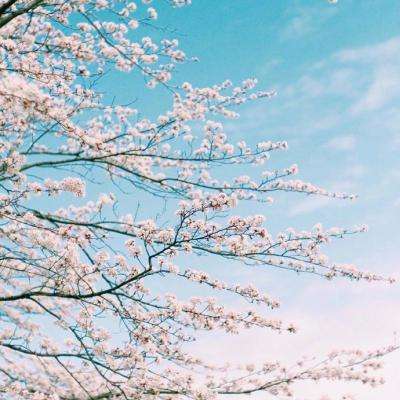 美联储吵翻了!市场紧急“改剧本”,降息变加息?