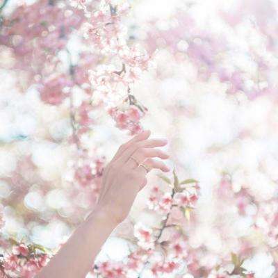 菲律宾贵宾会体育娱乐APP/手机APP下载