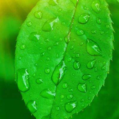 唐驳虎:美国4000万贫困人口?不讲标准就是耍流氓