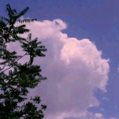 三花智控:去年净利同比增长逾三成,但新能源汽车热管理产品产销量首次下滑|财报解读