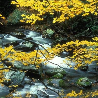 美以对伊战争成本攀升:海湾能源基础设施面临250亿美元修复账单