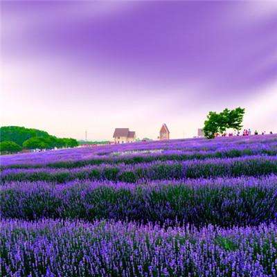 美国抵押贷款利率飙升至五个月高点 凸显战争的经济影响扩大