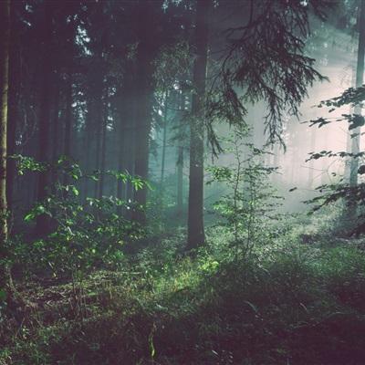 永利官网在线登录