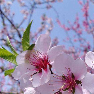 这是北京高温下的三里屯