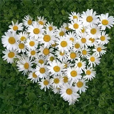 向前冲!这个“村”不一般