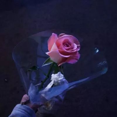 美团午后快速拉升,现涨近12%,公司将于明日公布业绩