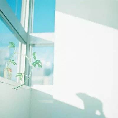 SpaceX据悉计划IPO募资750亿美元 规模将创下全球最高纪录