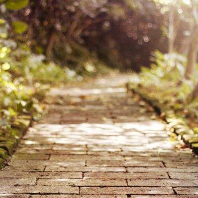 电竞牛体育娱乐下载app/手机app下载