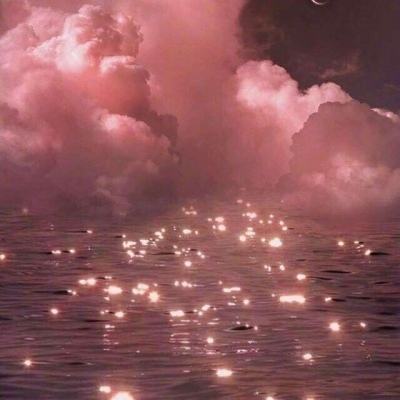 纯洁娱乐体育登录官方版特色