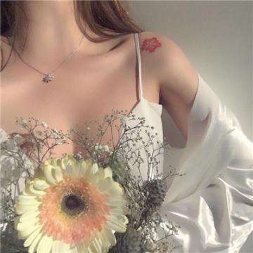 零碳目标下的生存法则：菲仕技术...