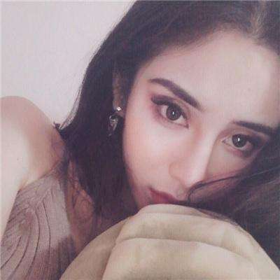 警察追捕行动破解版